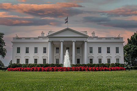 white house garden